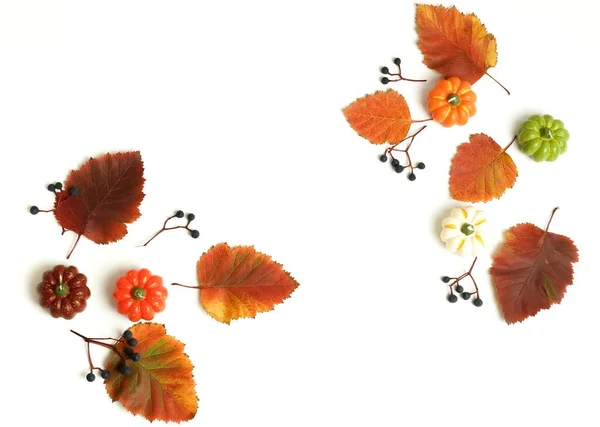 Осенний Фон Осенние Листья Рамка Изолированы Белом Фоне Осень День — стоковое фото