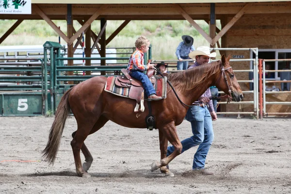 Rodeo für kleine Britten — Stockfoto