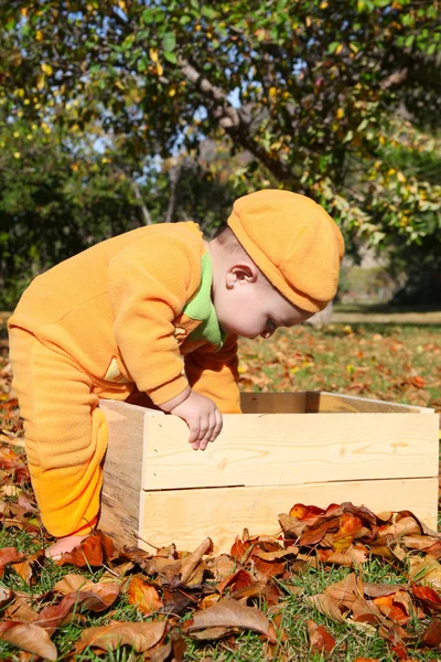 ハロウィーンの赤ちゃん — ストック写真