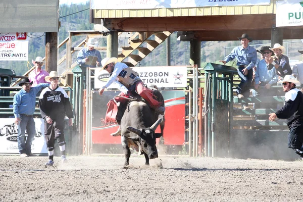 Ty Pozzobon Invitational Pbr — Stockfoto