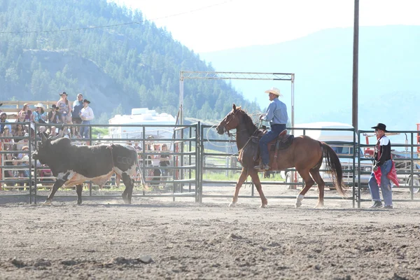 Ty Pozzobon Invitational Pbr — Stok fotoğraf