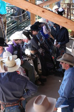 Ty Pozzobon Invitational Pbr