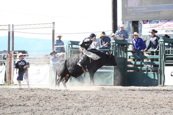 Ty Pozzobon Invitational Pbr — Stok fotoğraf