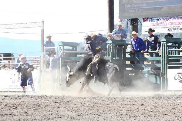 Ty Pozzobon Invitational Pbr — Stok fotoğraf