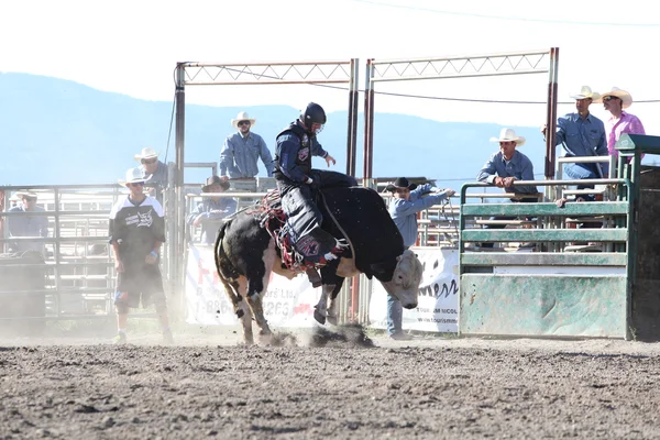 Ty Pozzobon Invitational PBR — Stock Photo, Image