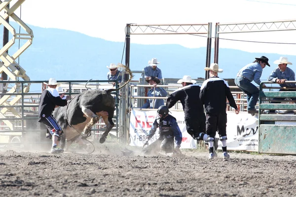 Pbr Invitational Ty Pozzobon — Foto de Stock