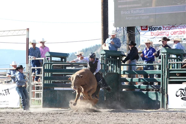 Ty Pozzobon Invitational Pbr — Zdjęcie stockowe