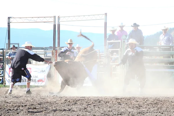 Ty Pozzobon Invitational Pbr — Zdjęcie stockowe