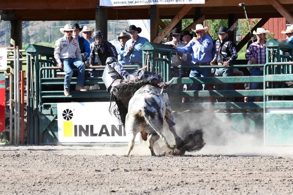 Ty Pozzobon Invitational PBR — Stock Photo, Image