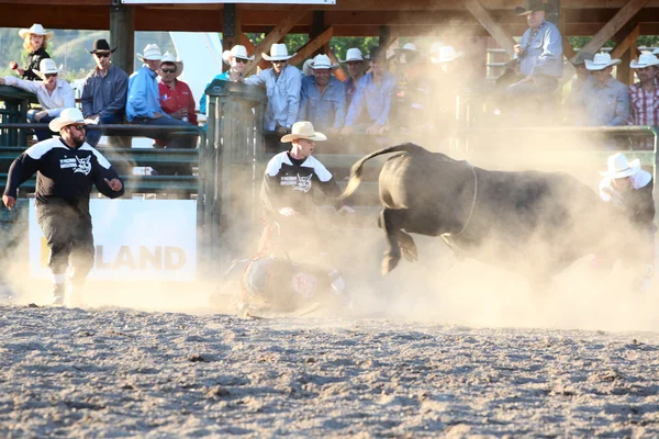 Ty Pozzobon Invitational Pbr — Stockfoto