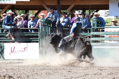 Ty Pozzobon Invitational Pbr