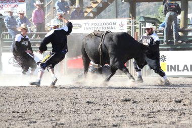 Ty Pozzobon Invitational Pbr