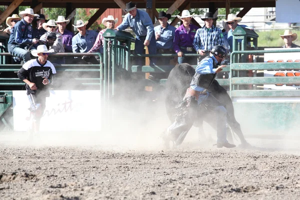 Ty Pozzobon Invitational Pbr — Stockfoto