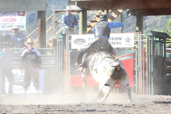 Ty Pozzobon Invitational Pbr — Stockfoto