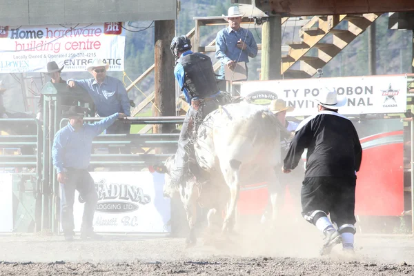 Ty Pozzobon Invitational Pbr — Stockfoto