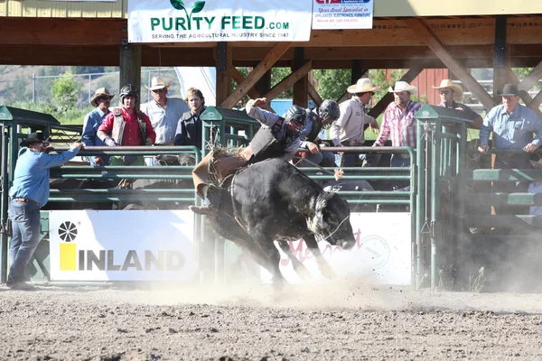 Ty Pozzobon Invitational Pbr — Stockfoto