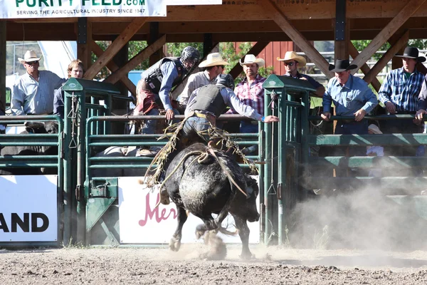 Ty Pozzobon Invitational Pbr — Zdjęcie stockowe