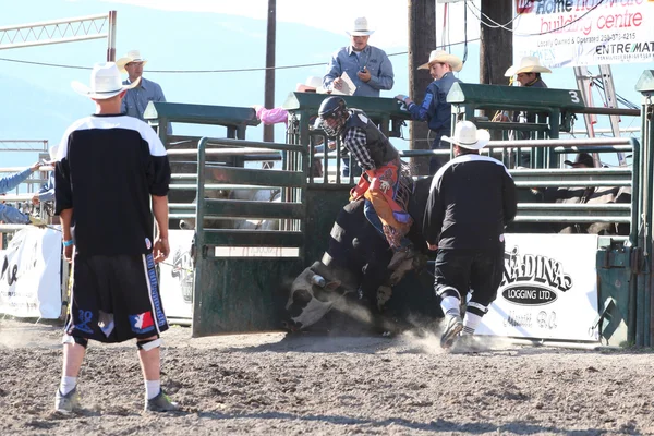 Ty Pozzobon Invitational PBR — Stock Photo, Image