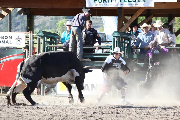 Ty Pozzobon Invitational Pbr — Stok fotoğraf