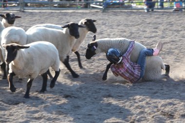 Ty Pozzobon Invitational Pbr