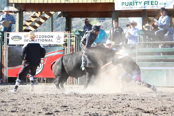 Ty Pozzobon Invitational Pbr — Stok fotoğraf