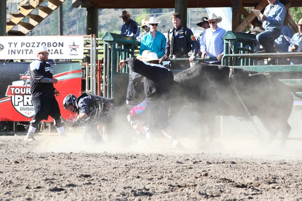 Ty Pozzobon Invitational Pbr — Zdjęcie stockowe