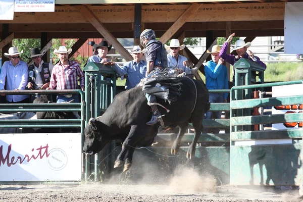 Ty Pozzobon Invitational Pbr — Zdjęcie stockowe