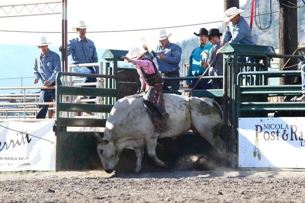 Pbr Invitational Ty Pozzobon — Foto de Stock