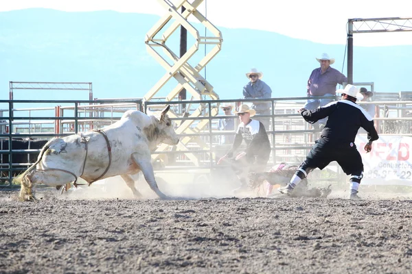 Pbr Invitational Ty Pozzobon — Foto de Stock