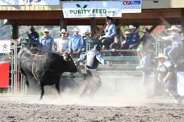 Ty Pozzobon Invitational PBR — Stock Photo, Image