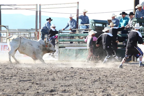 Ty Pozzobon Invitational Pbr — Stockfoto