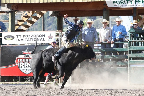 Ty Pozzobon Invitational Pbr — Zdjęcie stockowe