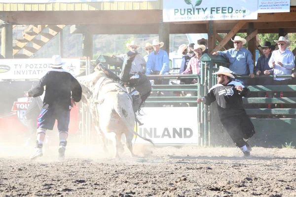 Ty Pozzobon Invitational Pbr — Stockfoto