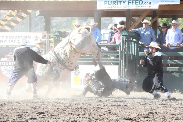 Ty Pozzobon Invitational Pbr — Stockfoto