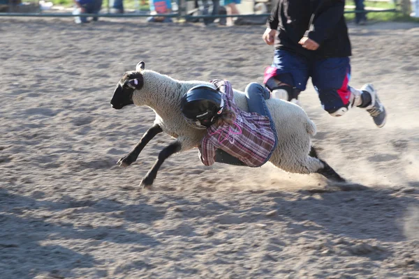 Ty Pozzobon Invito PBR — Foto Stock