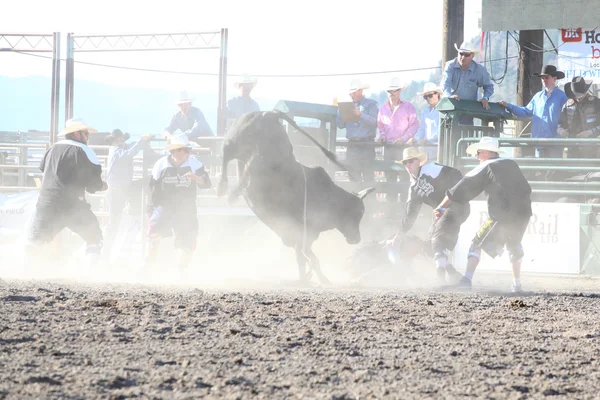 Ty Pozzobon Invitational Pbr — Stockfoto