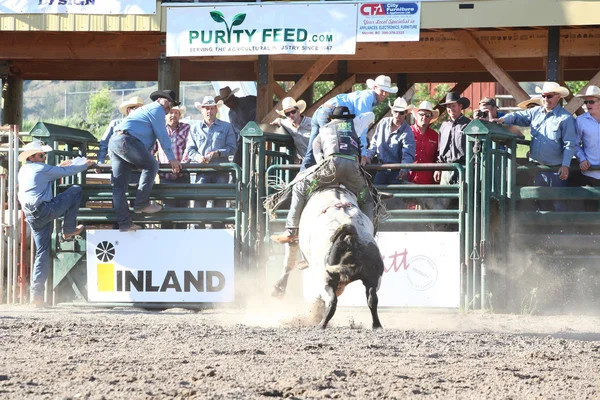 Ty Pozzobon Invitational Pbr — Stockfoto