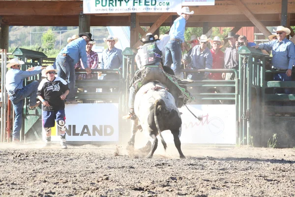 Ty Pozzobon Invitational PBR — Stock Photo, Image