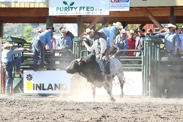 Ty Pozzobon Invitational Pbr — Stockfoto