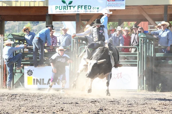 Ty Pozzobon Invitational Pbr — Stockfoto