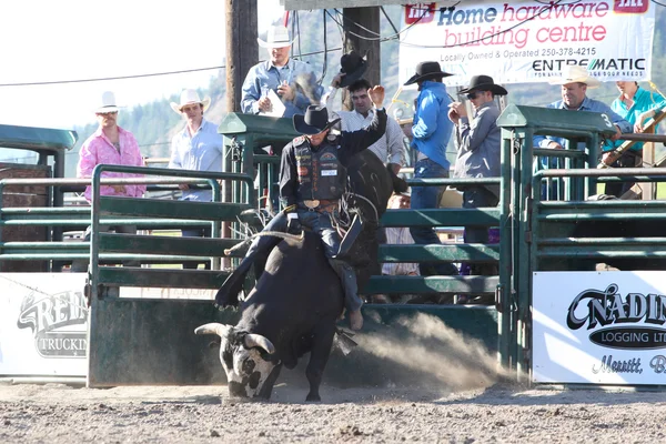 Ty Pozzobon Invitational Pbr — Zdjęcie stockowe