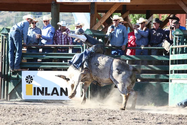 Ty Pozzobon Invitational Pbr — Stok fotoğraf