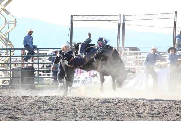 Ty Pozzobon Invitational Pbr — Zdjęcie stockowe