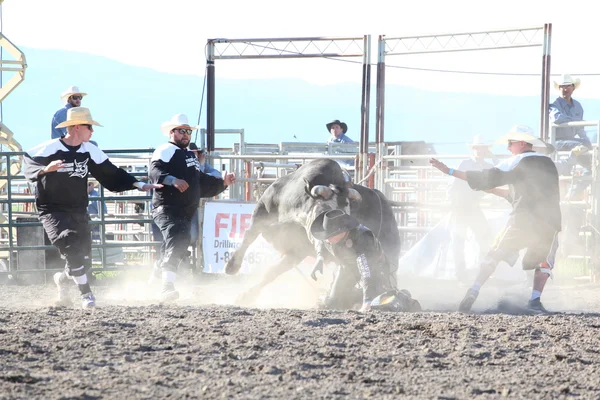 Ty Pozzobon Invitational Pbr — Stock fotografie