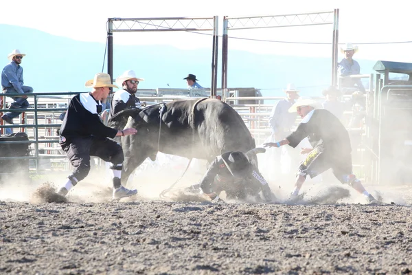 Ty Pozzobon Invitational PBR — Stock Photo, Image