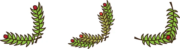 Vánoční větev roh — Stockový vektor