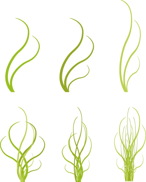 Groen gras — Stockvector