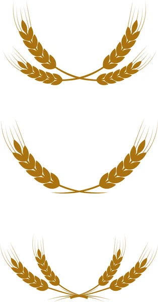 buğday çelenk
