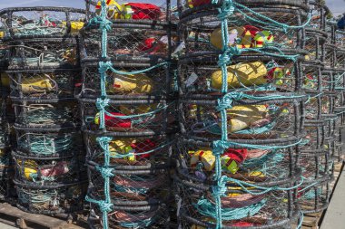 Istakoz tuzağı aksesuarları ile