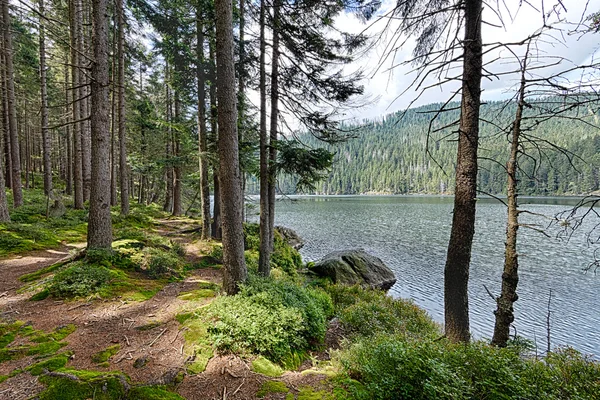 Glacial Black Lake surrounded by the forest — Stock Photo, Image